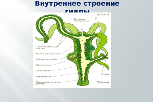 Кракен лучший маркетплейс