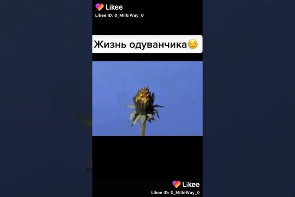 Ссылка на кракен в тор