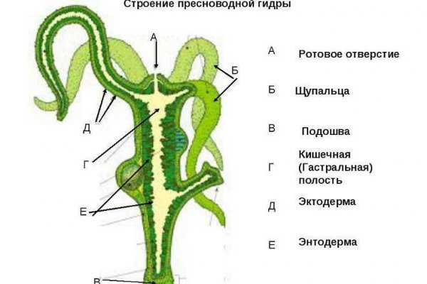 Зеркало вход кракен